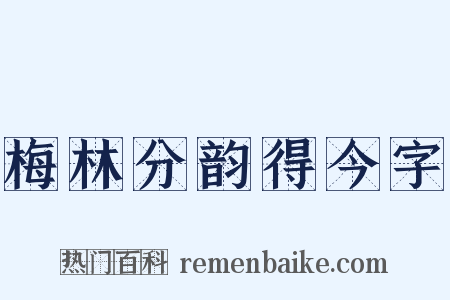 梅林分韵得今字是什么意思的图片